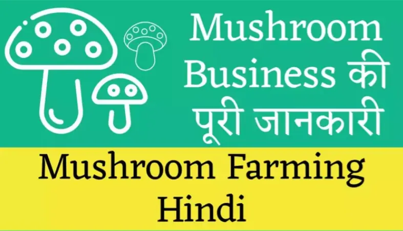 mashroom farming hindi